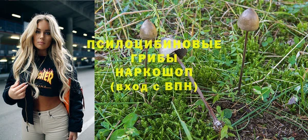 spice Бугульма